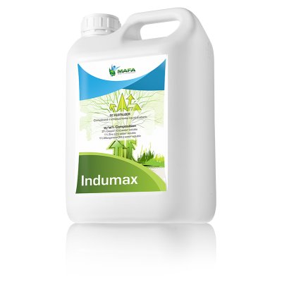 INDUMAX