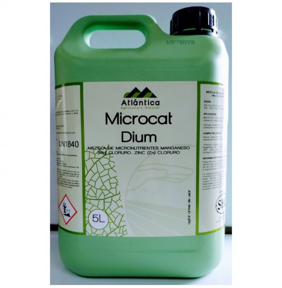 Microcat Dium