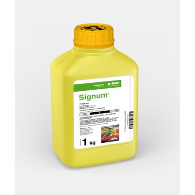Signum