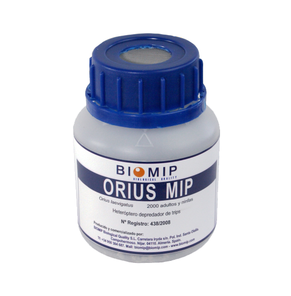 ORIUS MIP