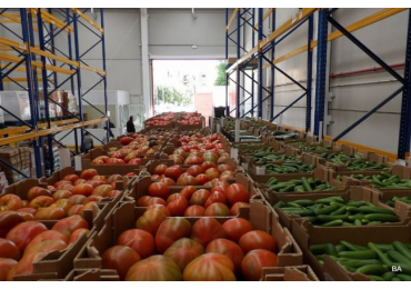 Almería exportó 370 millones de kilos de frutas y hortalizas al Reino Unido